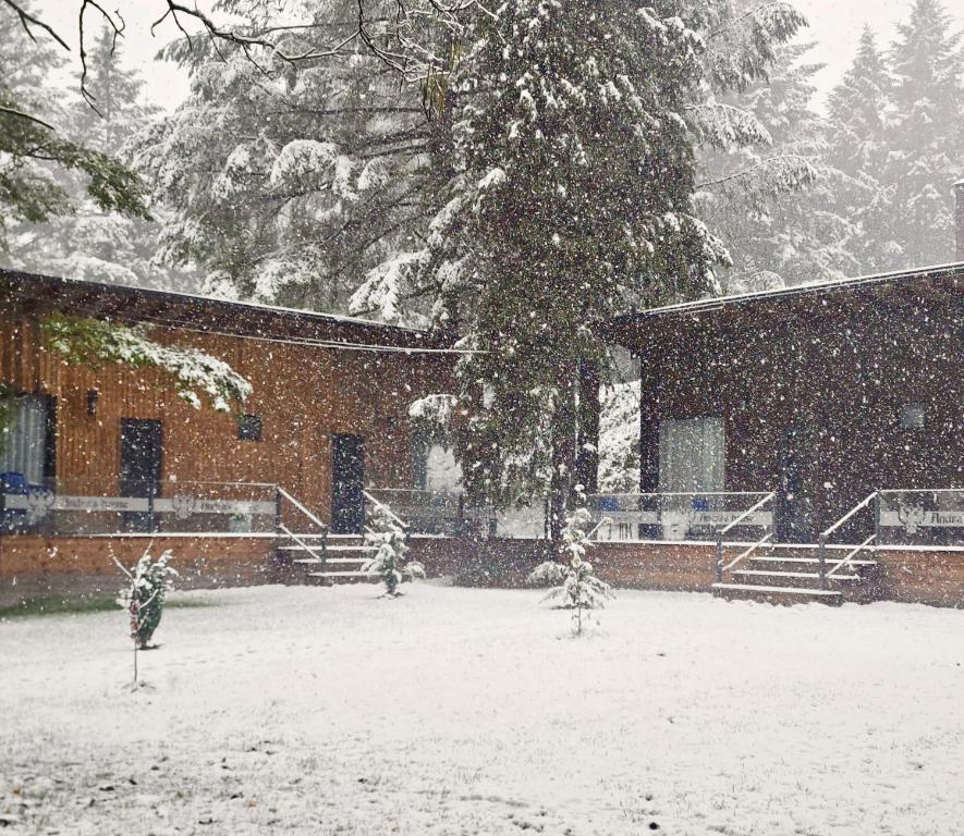 Pensiunea CASA ANDRA