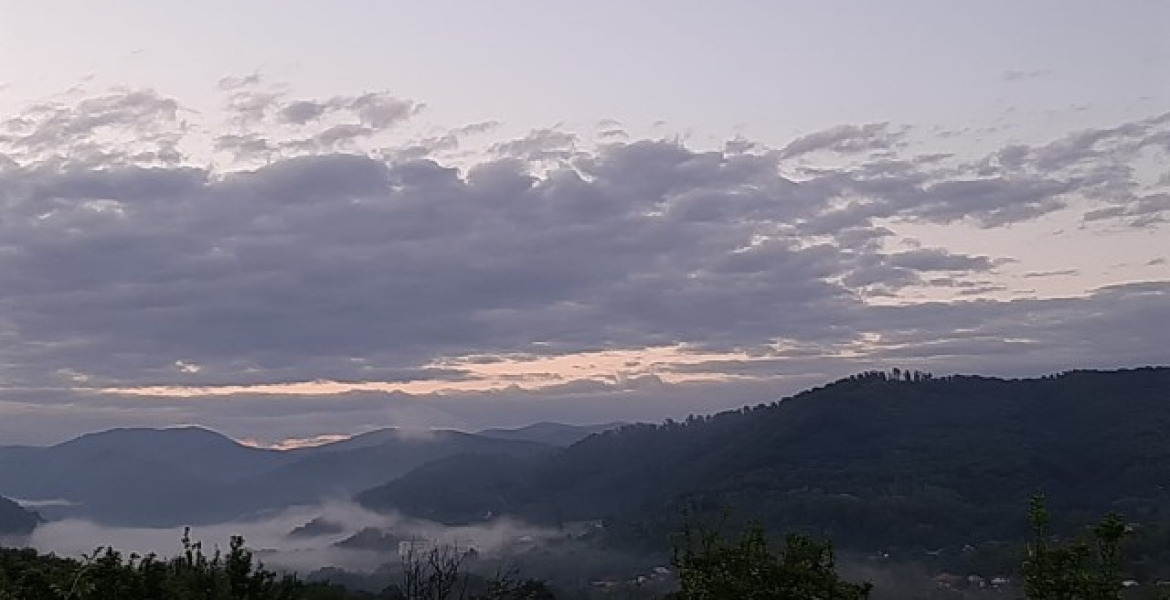 Vedere spre Mănăstire